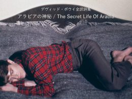 アラビアの神秘 / The Secret Life Of Arabia - デヴィッド・ボウイ詩篇集成