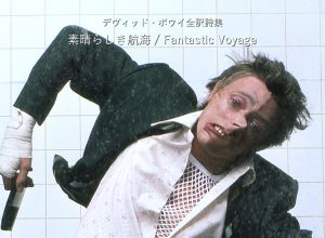 素晴らしき航海 / Fantastic Voyage - デヴィッド・ボウイ詩篇集成