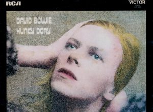 Hunky Dory